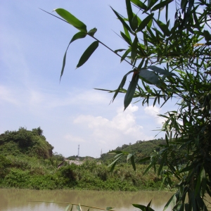 ������ξ��c��Ϣ