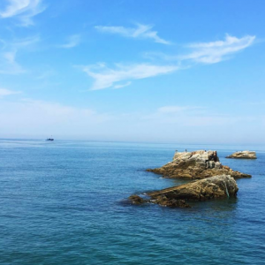 ���(y��ng)�W(w��ng)APP�������]  �S�����L(f��ng)���������B