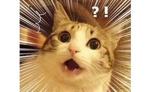 �����؂� �@���H�ݷQ�������պã����겻����