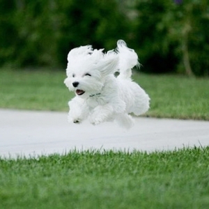 ��ϲ�@Щ�˽������·� ���ゃ����һ�ݕr�g��