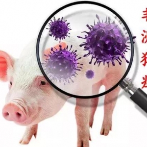 ��ȫ��Ʒ�ƙz�������i������ ���»ؑ�����