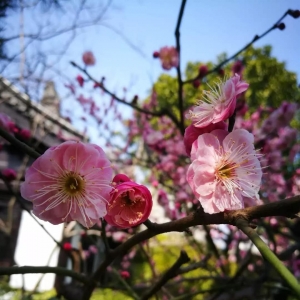 ������p÷��ѵ��c(di��n)��ϼ�����