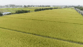 ����@Щ�@���Ĵ��ף��㶼���^�᣿