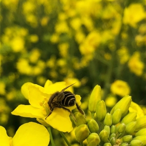 ��^(q��)�W(w��ng)�ѷ�����Ʒ ��ɽ���Ĵ��L(f��ng)ʮ��