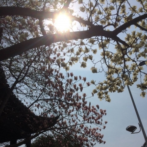 ��ꖾW(w��ng)APP�������] ���m�ҷ������