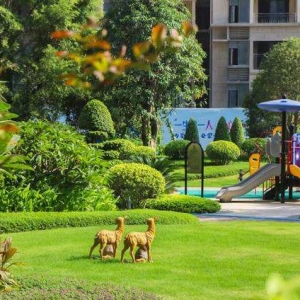 ů���ØI�� ������Щ�ǱP���ݵ�׌���Ąӣ�