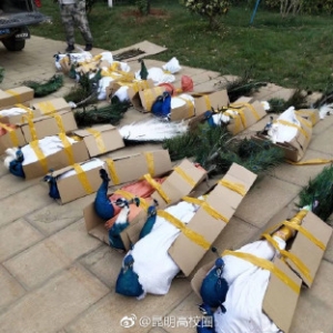 �@���W(xu��)У���L(f��ng)���� Ц���X����