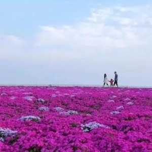 ��һ���ι��� ���û������پ���