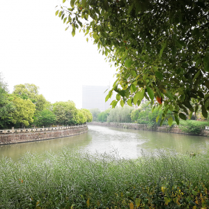 ɽ�^�(zh��n)����һȦ �������ɽ���@�ͷ��a(ch��n)���O(sh��)