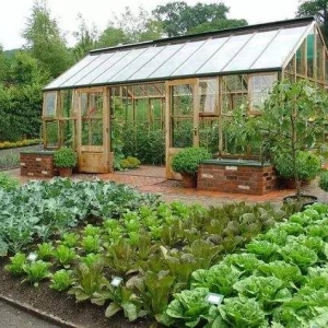 ��ꎳ��Fռ�ù����G�طN�ˬF��