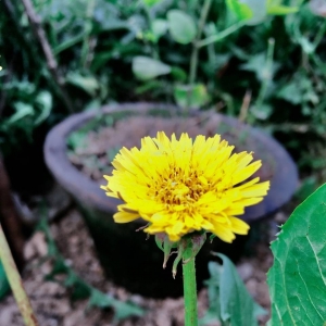 ��ꖾW(w��ng)APP����zӰ���] ��һ�l(xi��ng)����