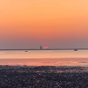 ��ꖾWAPP�������] ����ȥ���������ճ�