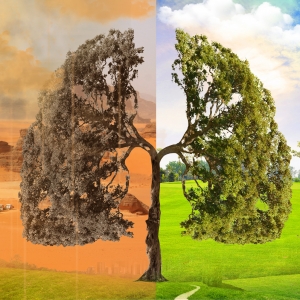 4�·ݽ�ꎸ�悽ֵ��՚��|����r�ع�