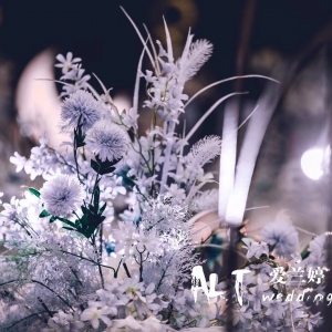 �������������Y �N���Ǻ��҂�����