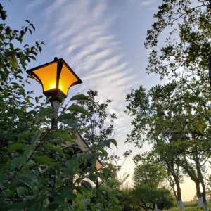 ��ꖾW(w��ng)APP�������] ��ɽ���@����