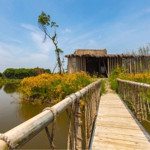 ��ꖾW(w��ng)APP�������] �r(n��ng)������Ұ��