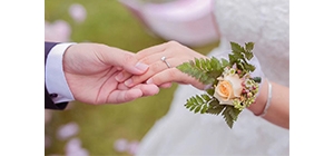 ������ˑ����Y ��������ӱ�������