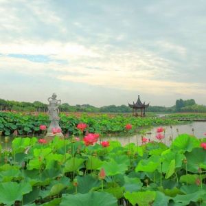 ��ꖾW(w��ng)APP�������] �³ǻ����_����