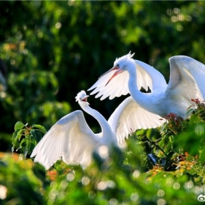 �M���w�B���ɽ��Ђ������B���á�