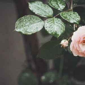 ��^�W�ѷ������]���W�����Լ��΂�