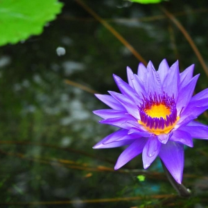 ��^�W�ѷ������]��ˮꑲ�ľ֮��