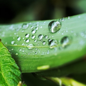 ��^�W�ѷ������]���R�^�µ�΢������