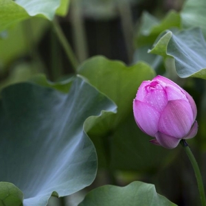 ��^�W����Ʒ�������]��������p��