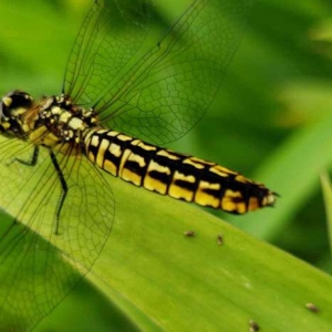 ��^�W�ѷ������]����Û]Ҋ�^������