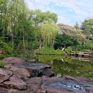 ��ꖾWAPP�������]��������ʲô�ɫ