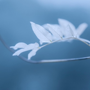 ��^�W�ѷ������]������С����һ�M