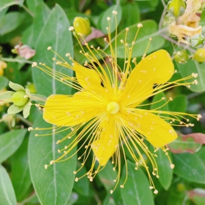 ��ꖾW(w��ng)APP�������]����(f��)��С�S����