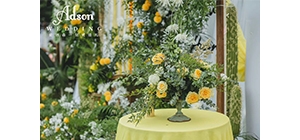 ������ˑ����Y���� ϲ�g�������