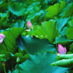 ��^(q��)�W(w��ng)�ѷ������]���顾�ɡ�����