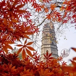 �����7̎�����Ҍ��ء�����֪���ׂ���