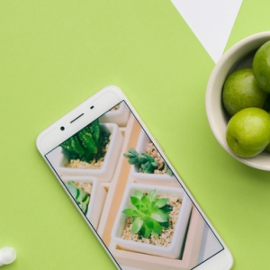 �ٿ�������40��A(y��)pp���c(di��n)�����ģ�