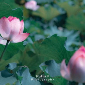 ��^�W�ѷ������]��С�ɲ�¶����