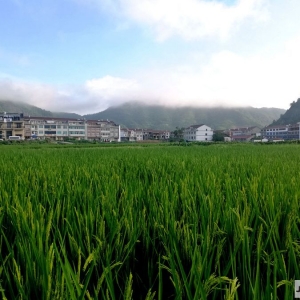 ��^�W�ѷ������]��������ɽ��ˮ