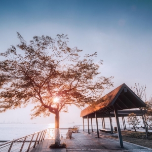 ��Ϧ��ô�^�����Ѱ� ����ֻ��������