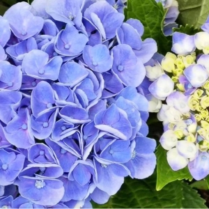 �ձ��l(xi��ng)�g���֙C(j��)���ģ�