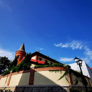 APP����Ȧ���W(w��ng)�Ѵ����u�W(w��ng)�t��