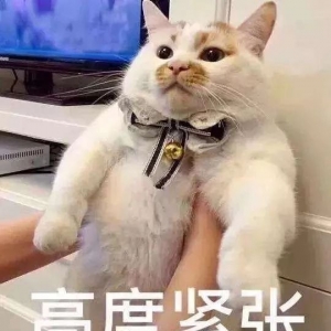 �_(t��i)�L(f��ng)����¹����ĩ��ꑣ������⡭��