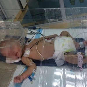 ��������Ű�����؂��Ľ���Ћ� �K�������w�ޣ�