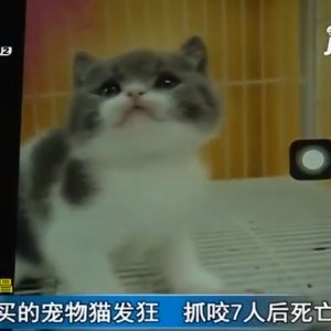 �x�棡؈ͻȻ�l��ҧ��һ��7�ں�����