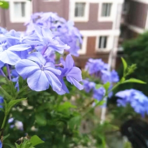 �W�ѷ����Լ����ܻ��@��������_����