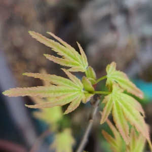 �W��ӛ��������~�B�ɵĲ�ͬ�A��