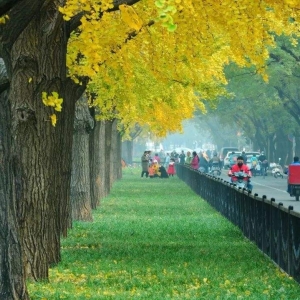 ����ע���@4�N���� �B��Ҫ��ӛ7������ѡ���