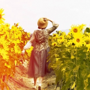 �������(m��ng)�箋 �zӰ��W(w��ng)�����տ�������