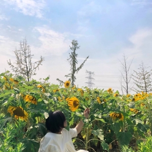 ��^(q��)�W(w��ng)�ѷ������]���W(w��ng)�t���տ���