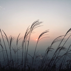 ��ꖾW(w��ng)APP����Ȧ����ɽ��������