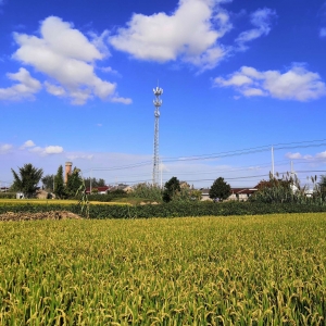��ꖾW(w��ng)APP����Ȧ���S�յ�ʮ��